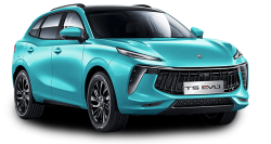 Eva коврики для Dongfeng Forthing T5 EVO